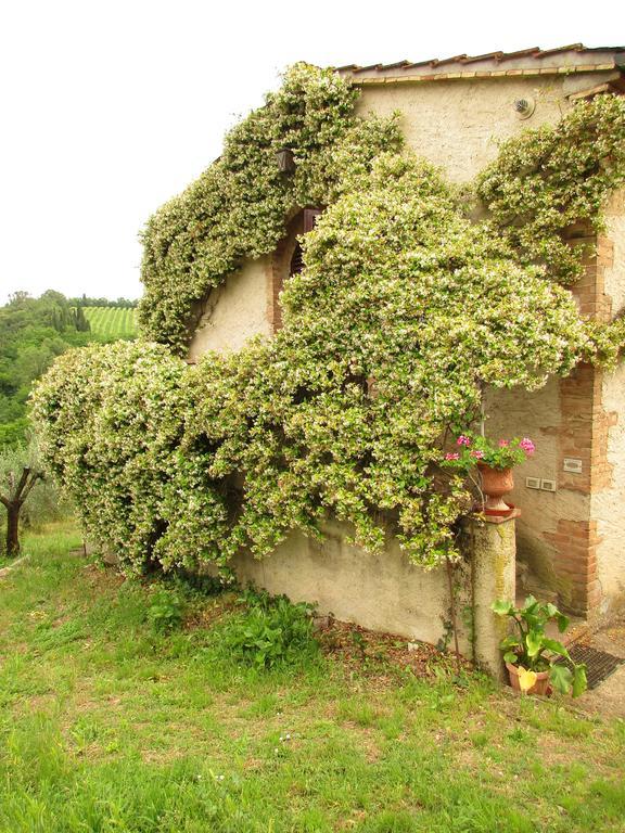 Agriturismo Podere Cappella Villa San Gimignano Kültér fotó